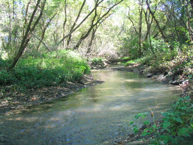 Name:  IMG_4542.jpg
Views: 17
Size:  194.4 KB