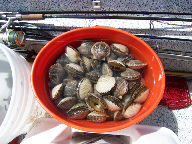 Name:  Bucket.jpg
Views: 101
Size:  371.2 KB