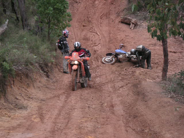 Name:  Dr650LieDown.jpg
Views: 30
Size:  86.5 KB