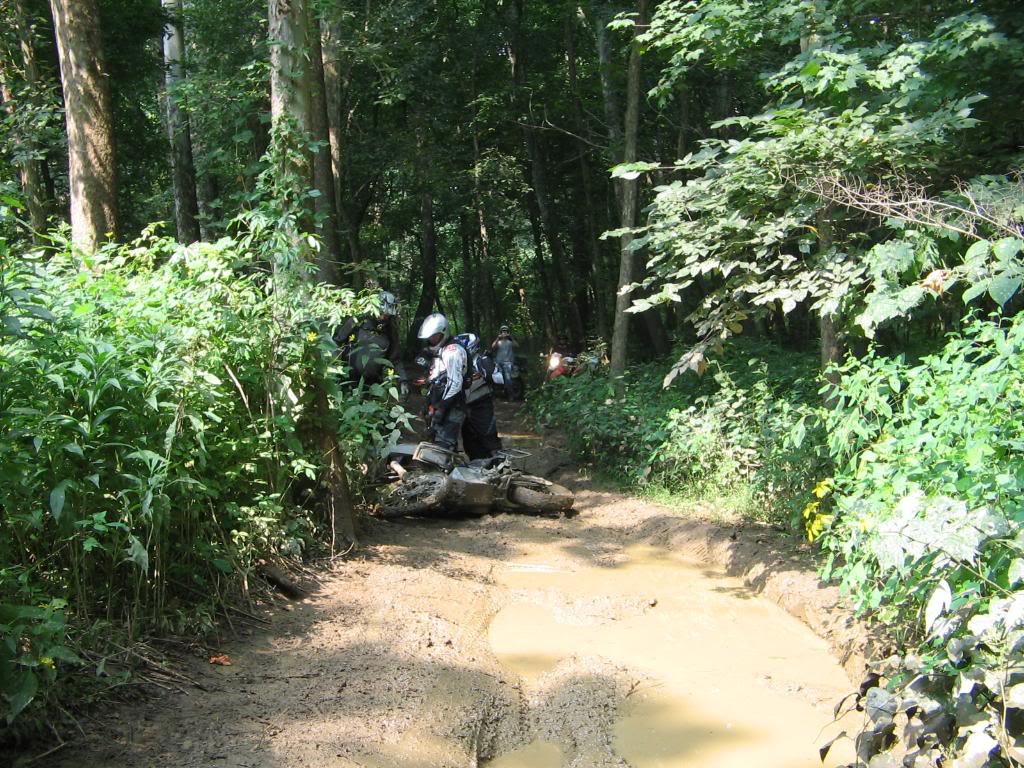 Name:  RCR006.jpg
Views: 24
Size:  209.1 KB