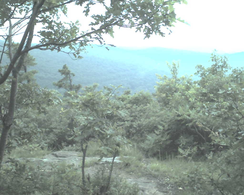 Name:  img040.jpg
Views: 27
Size:  80.2 KB