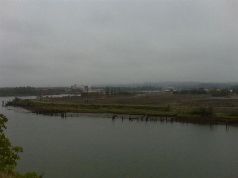 Name:  IMG01032Large.jpg
Views: 323
Size:  22.4 KB