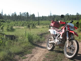 Name:  youngrun006.jpg
Views: 19
Size:  36.6 KB