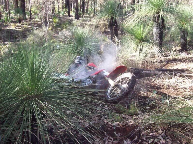 Name:  0391.jpg
Views: 22
Size:  133.5 KB