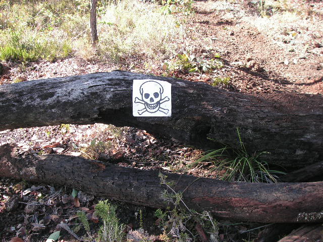 Name:  0061.jpg
Views: 24
Size:  106.8 KB