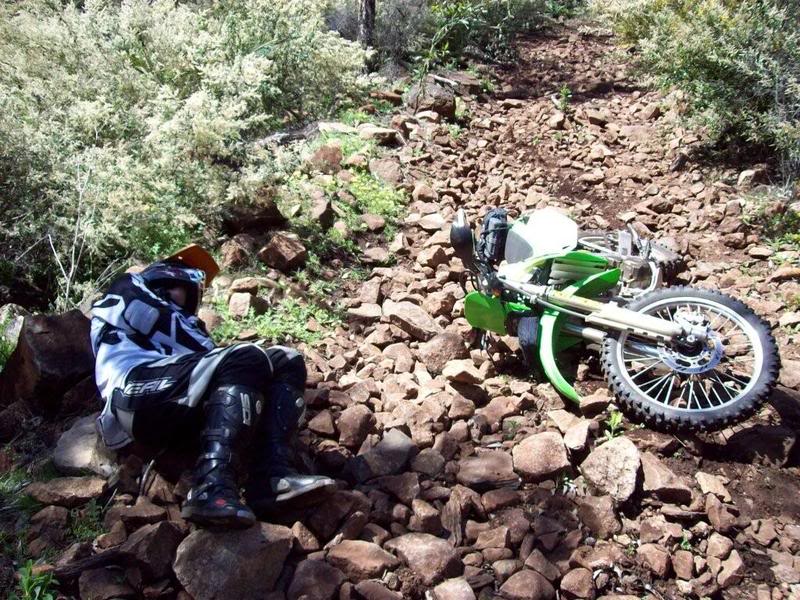 Name:  claimedbytherocks.jpg
Views: 148
Size:  144.2 KB