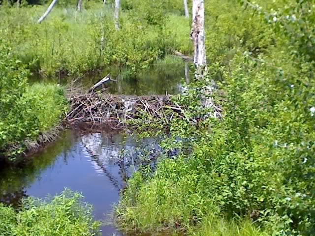 Name:  06-15-09_1341.jpg
Views: 46
Size:  122.0 KB