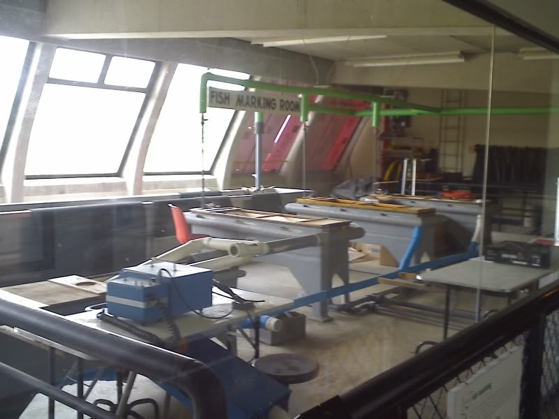 Name:  06-17-09_1154.jpg
Views: 95
Size:  77.8 KB