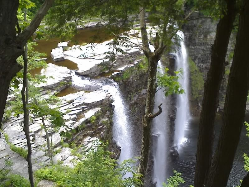 Name:  06-17-09_1244.jpg
Views: 25
Size:  153.5 KB