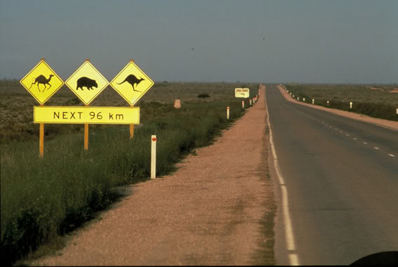 Name:  1nullarbor_sign_.jpg
Views: 37
Size:  34.7 KB