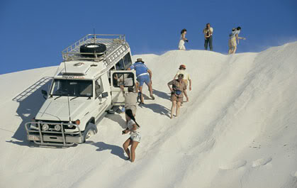 Name:  row3-photo1.jpg
Views: 58
Size:  19.0 KB