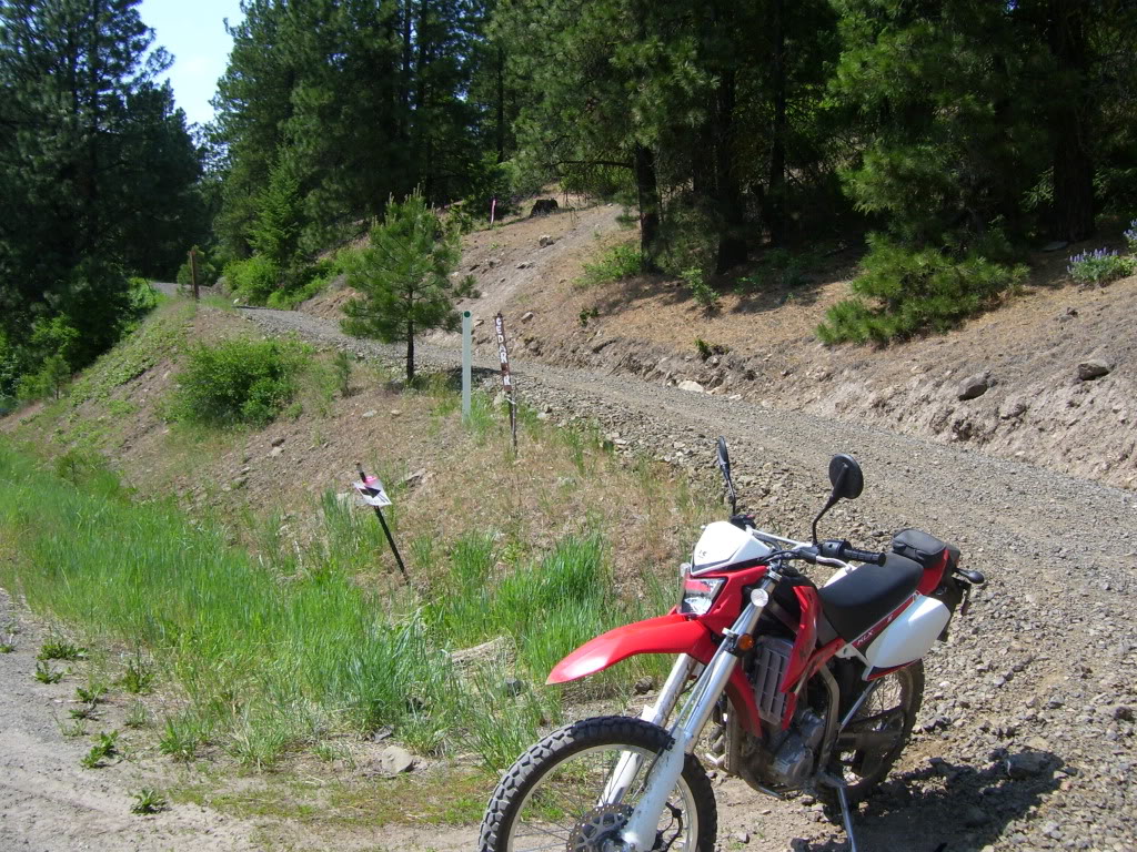 Name:  Jun09036.jpg
Views: 66
Size:  288.1 KB