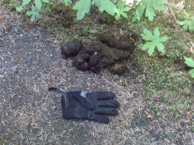 Name: IMG00634.jpg
Views: 136
Size: 163.2 KB