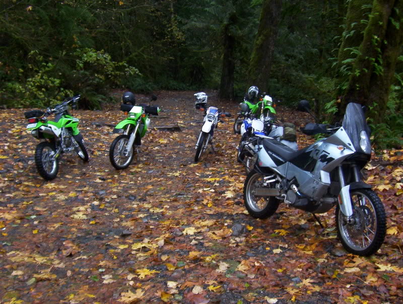 Name:  100_5849.jpg
Views: 22
Size:  141.9 KB