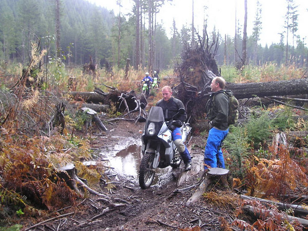 Name:  110356117-M.jpg
Views: 24
Size:  121.9 KB