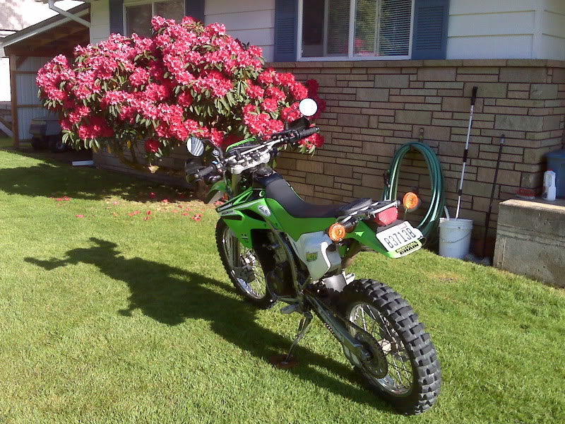 Name: IMG00650.jpg
Views: 85
Size: 180.6 KB