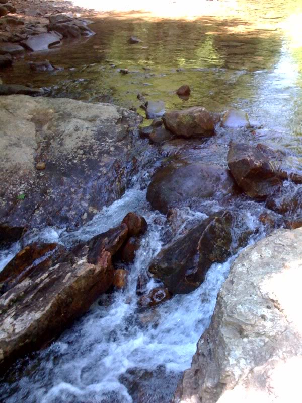 Name: pcooperwaterxing.jpg
Views: 23
Size: 122.5 KB