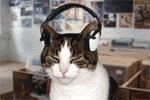 Name:  Cat20Headphonesresized.gif
Views: 56
Size:  89.5 KB