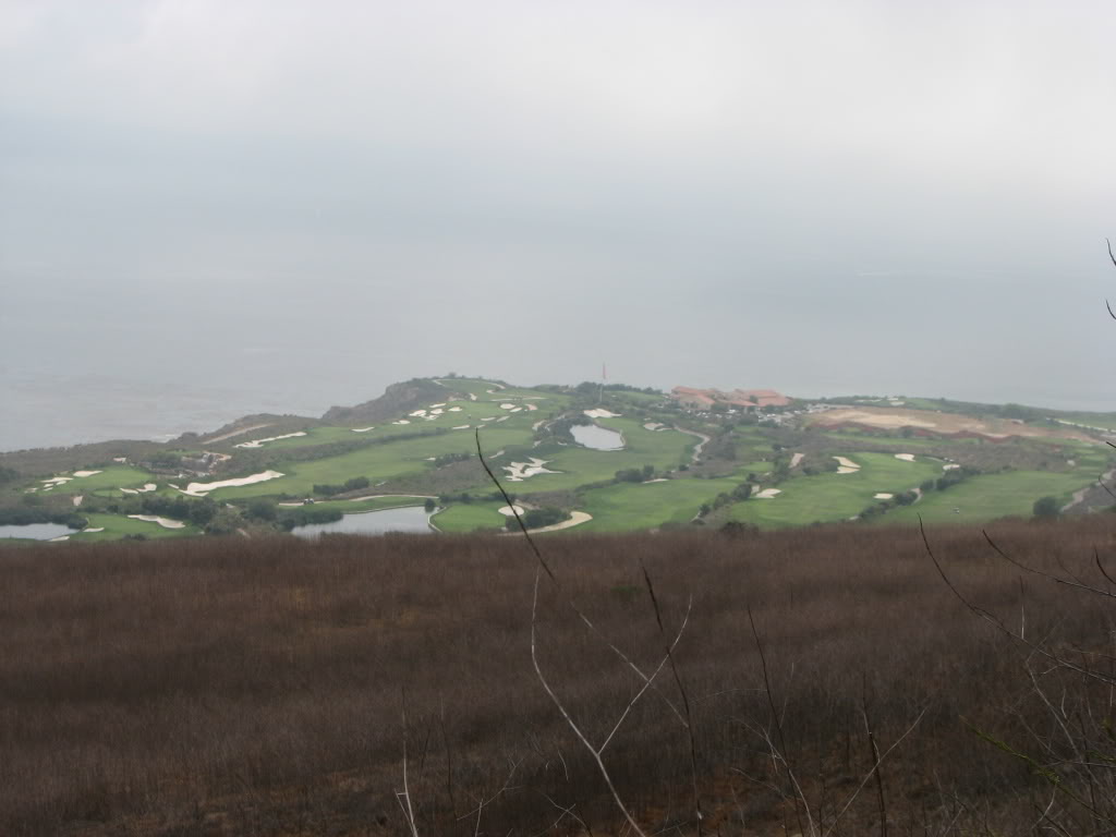 Name: Picture014-1.jpg
Views: 52
Size: 60.6 KB