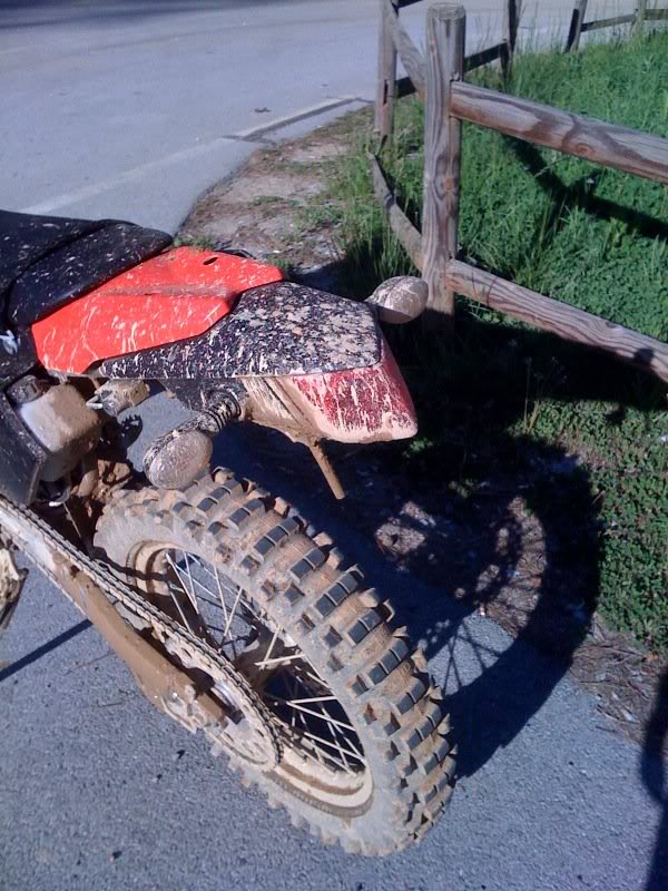 Name:  missingfender.jpg
Views: 319
Size:  109.0 KB