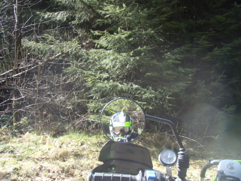 Name: P3218726.jpg
Views: 103
Size: 118.9 KB