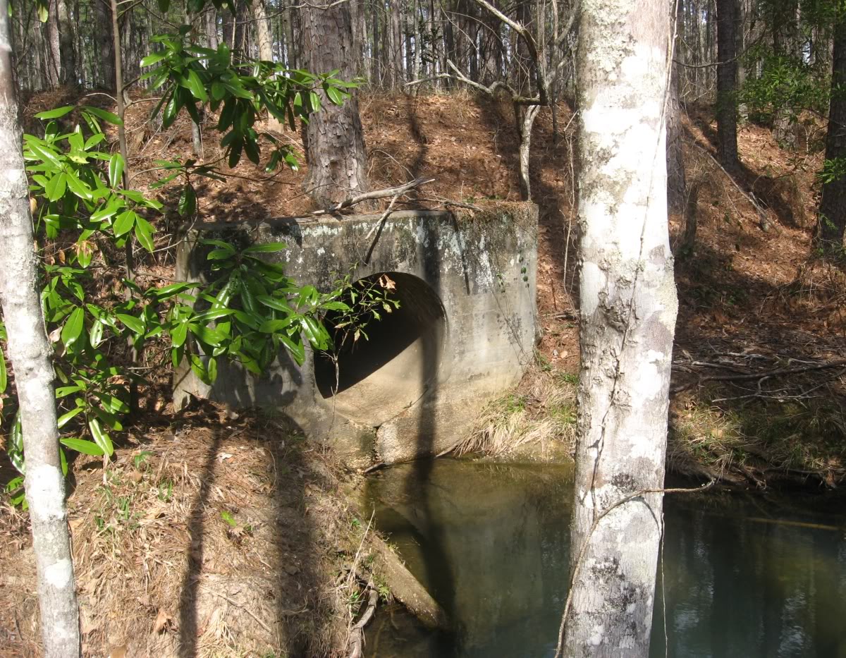 Name: culvert.jpg
Views: 36
Size: 354.5 KB