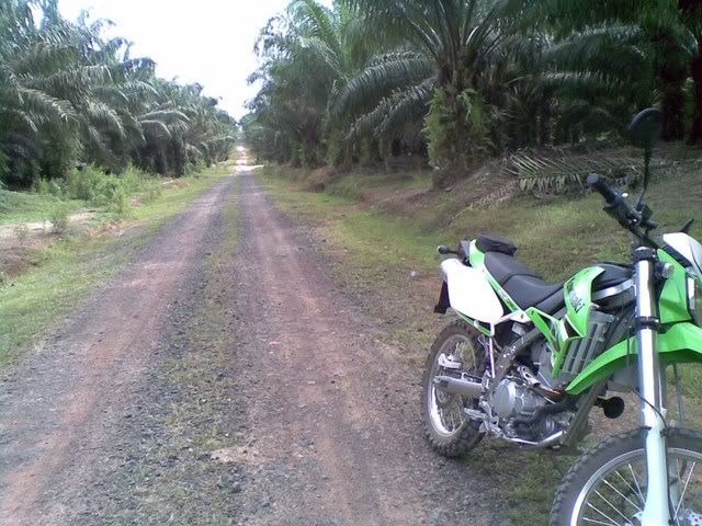Name:  menjelajahsawit.jpg
Views: 484
Size:  84.5 KB