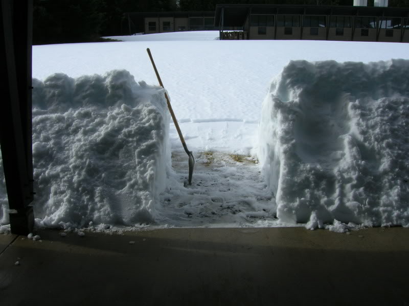 Name:  DSCN0582.jpg
Views: 262
Size:  57.8 KB