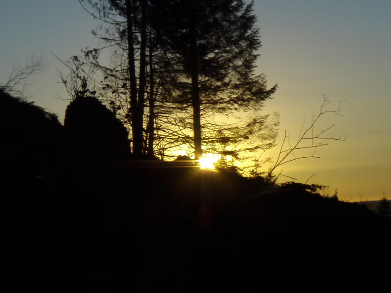 Name: P1188645.jpg
Views: 22
Size: 59.4 KB