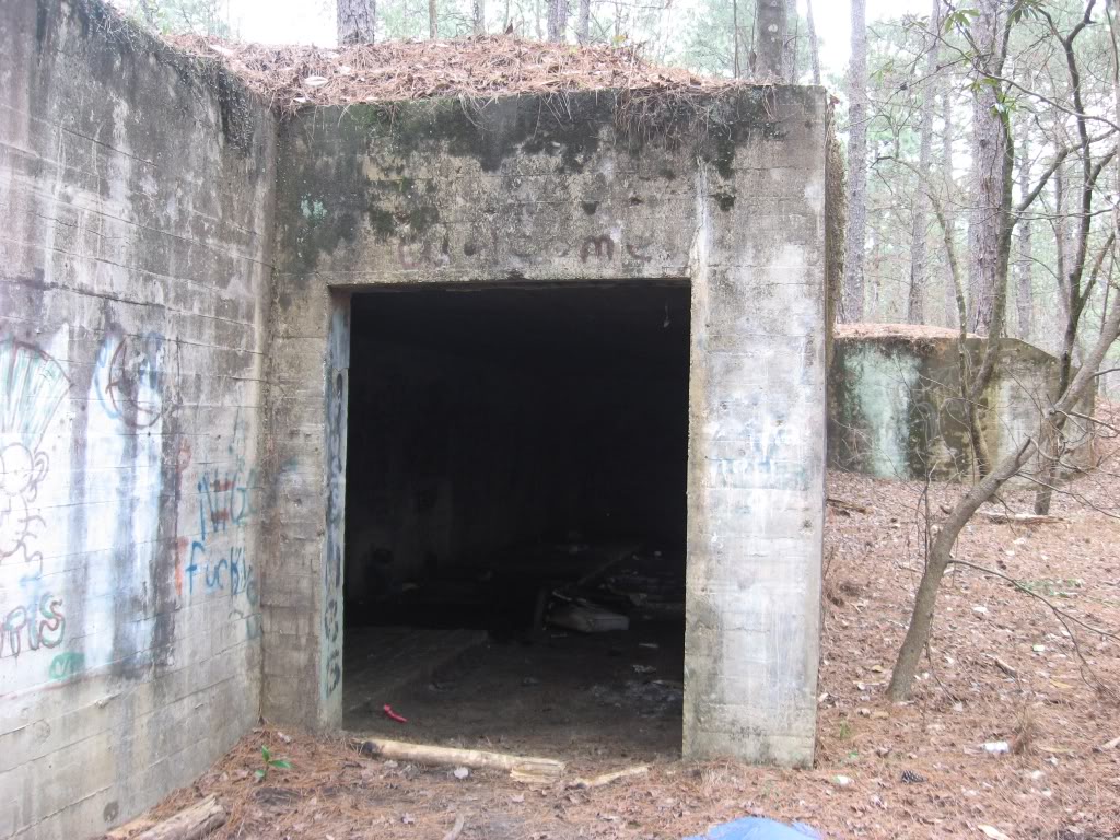 Name:  bunker.jpg
Views: 30
Size:  206.4 KB