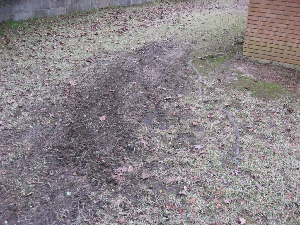 Name: berm.jpg
Views: 51
Size: 302.8 KB