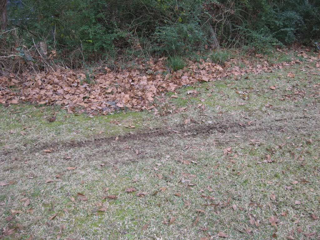 Name:  tracks.jpg
Views: 40
Size:  322.5 KB