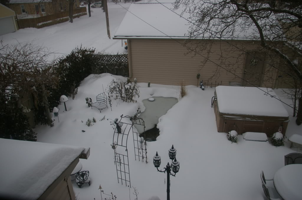 Name:  003-1.jpg
Views: 26
Size:  152.2 KB