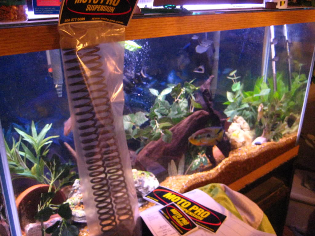 Name:  IMG_0668.jpg
Views: 26
Size:  148.1 KB