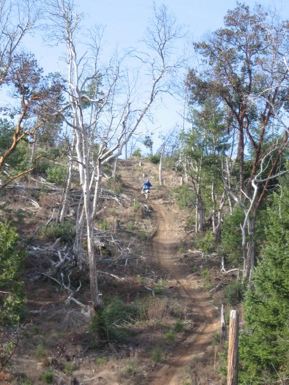 Name: 11-28-08011.jpg
Views: 43
Size: 112.4 KB
