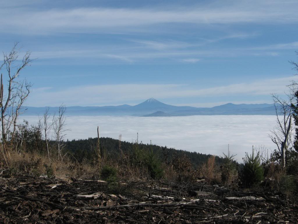 Name: 11-28-08023.jpg
Views: 41
Size: 92.6 KB