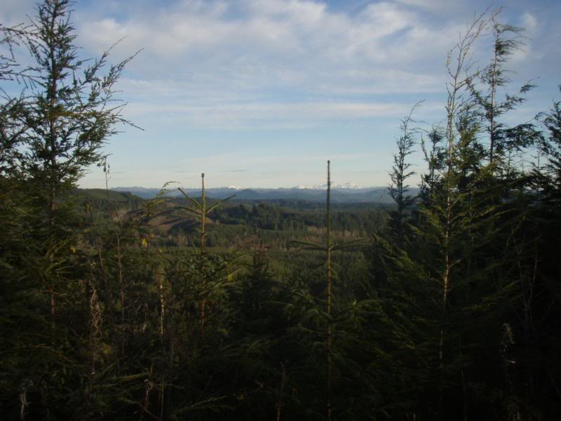 Name: PB238445.jpg
Views: 17
Size: 63.0 KB