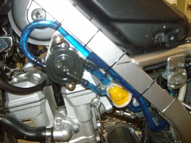 Name:  ALIM0835.jpg
Views: 78
Size:  58.9 KB