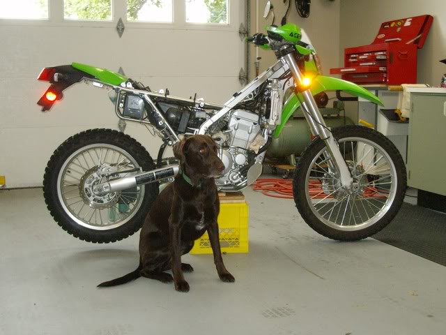 Name:  ALIM0741.jpg
Views: 59
Size:  58.1 KB