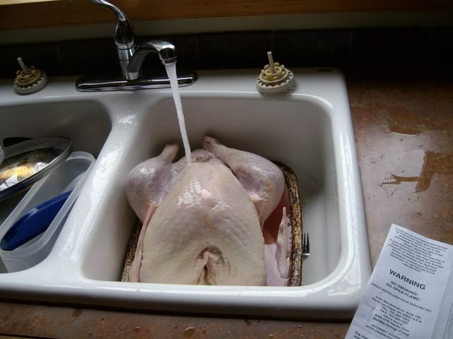 Name:  ALIM0746.jpg
Views: 43
Size:  45.3 KB