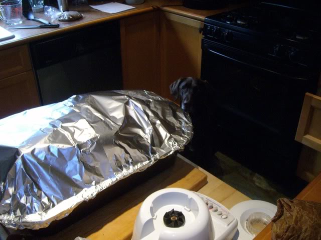 Name:  ALIM0754.jpg
Views: 43
Size:  51.8 KB