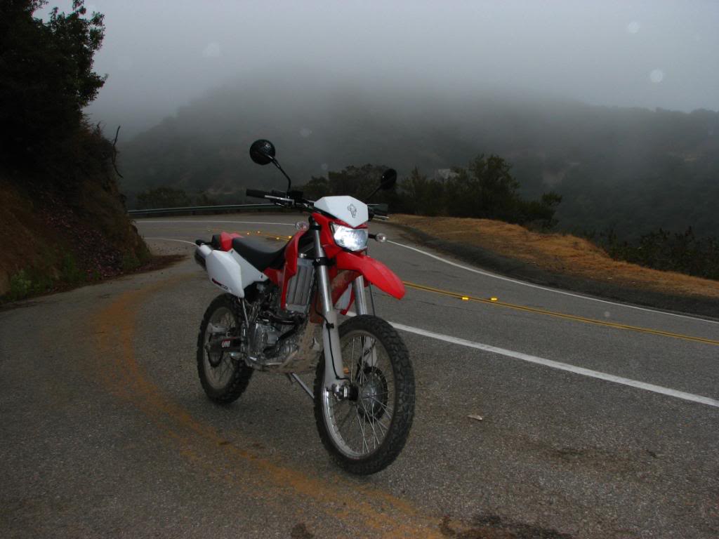 Name:  Picture018.jpg
Views: 39
Size:  78.7 KB