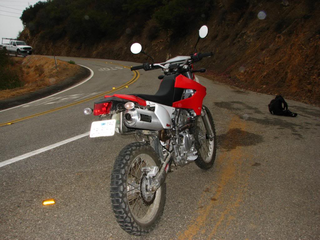 Name:  Picture019.jpg
Views: 33
Size:  118.7 KB