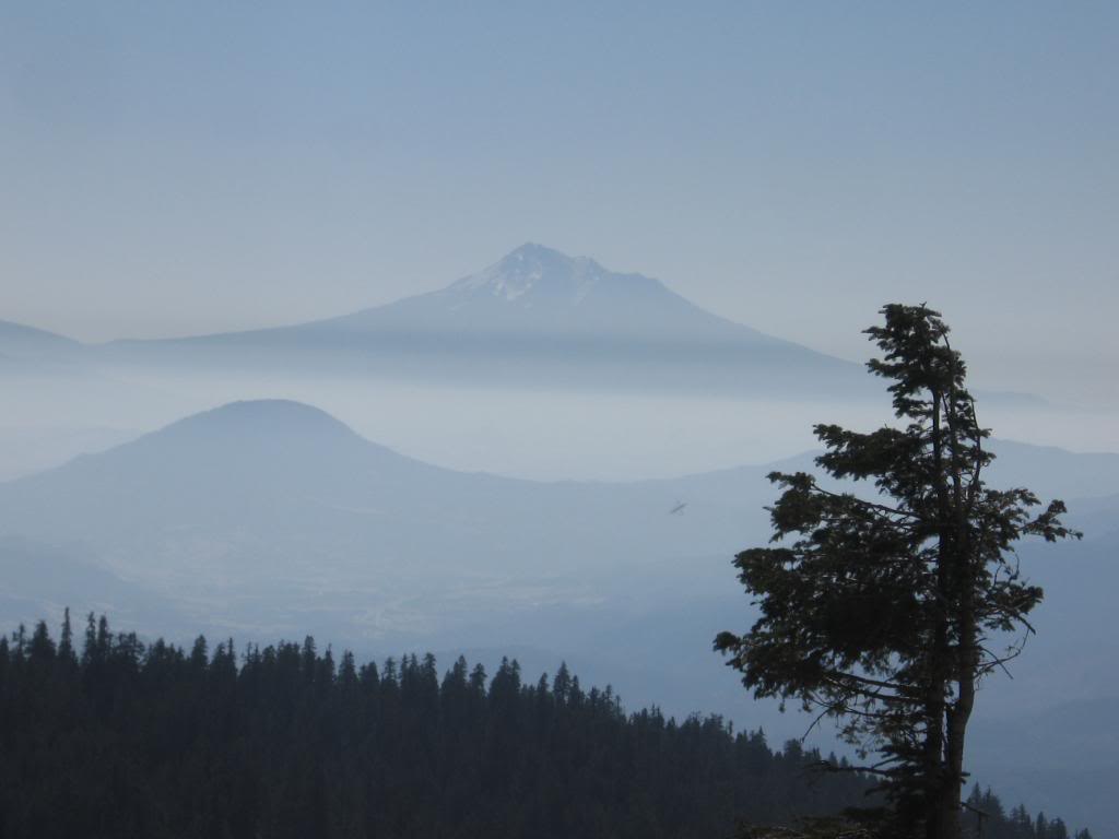 Name:  9-27-08005.jpg
Views: 23
Size:  39.5 KB