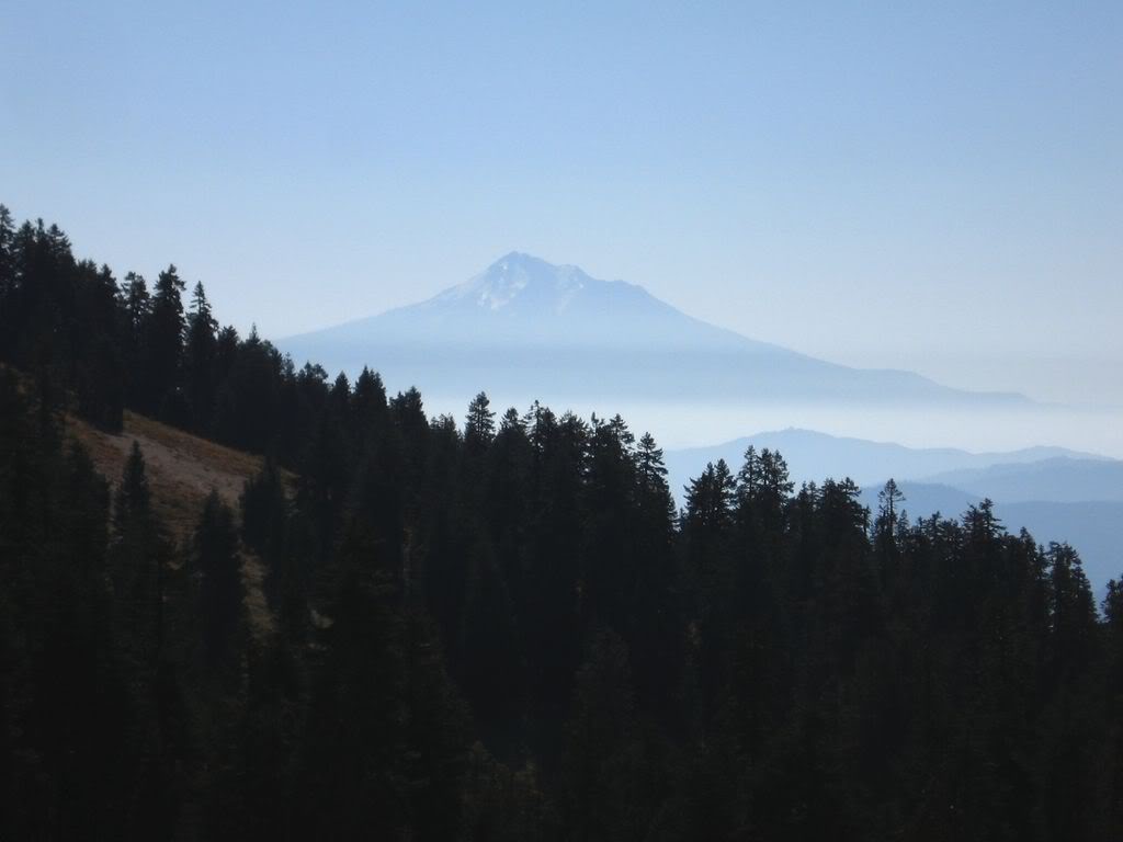 Name:  9-27-08011a.jpg
Views: 24
Size:  40.7 KB