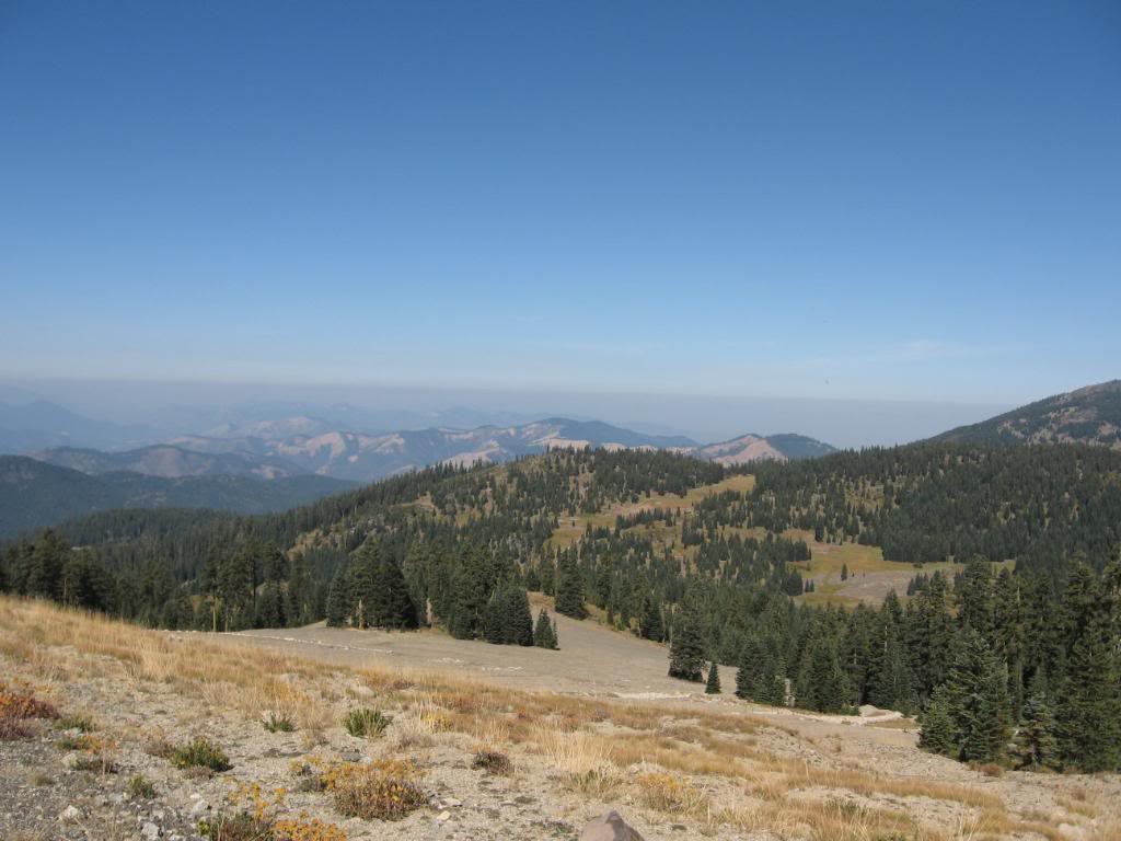 Name:  9-27-08017.jpg
Views: 22
Size:  88.0 KB