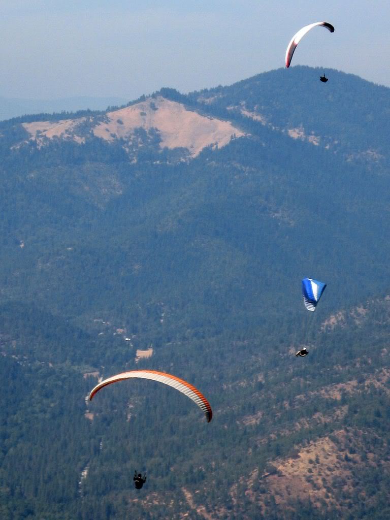 Name:  9-27-08039a.jpg
Views: 23
Size:  84.9 KB