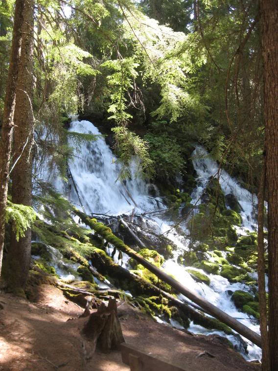 Name: 9-13-08waterfalls079.jpg
Views: 25
Size: 112.1 KB