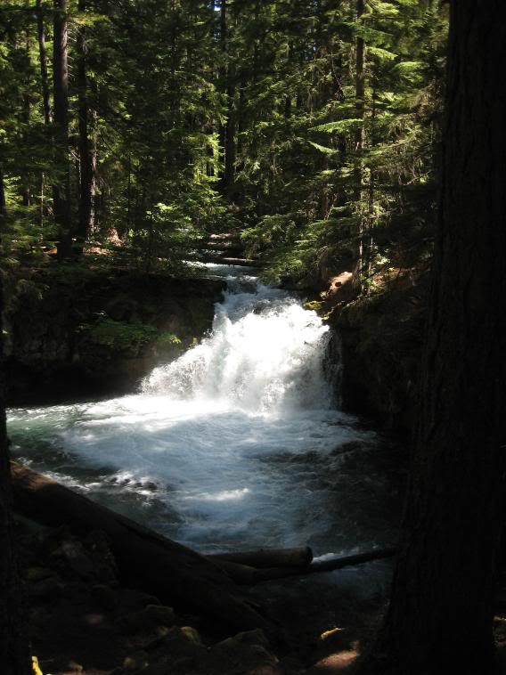 Name: 9-13-08waterfalls083.jpg
Views: 27
Size: 69.3 KB