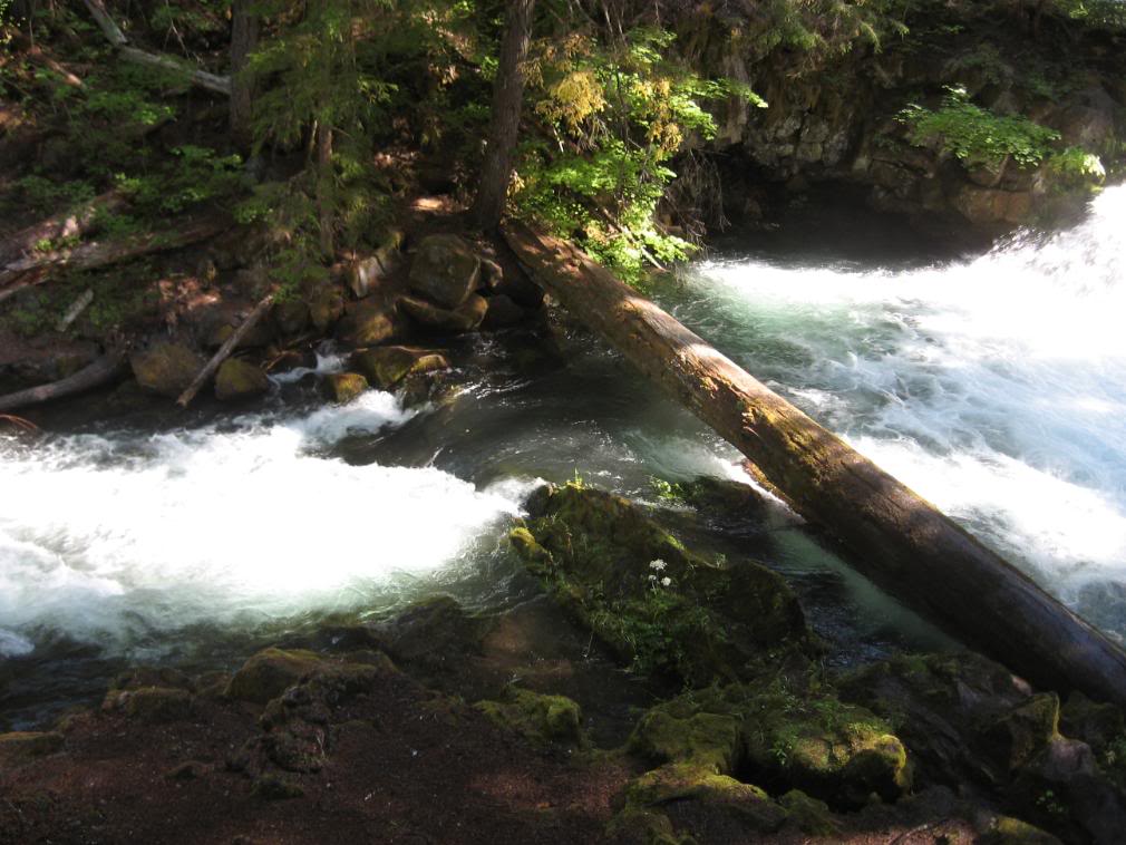 Name: 9-13-08waterfalls087.jpg
Views: 25
Size: 110.5 KB